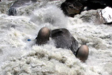 Upper Arun Gorge - 2008