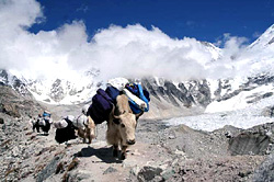 Way to EBC