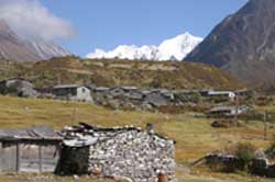 Langtang Village