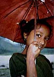 Rainy